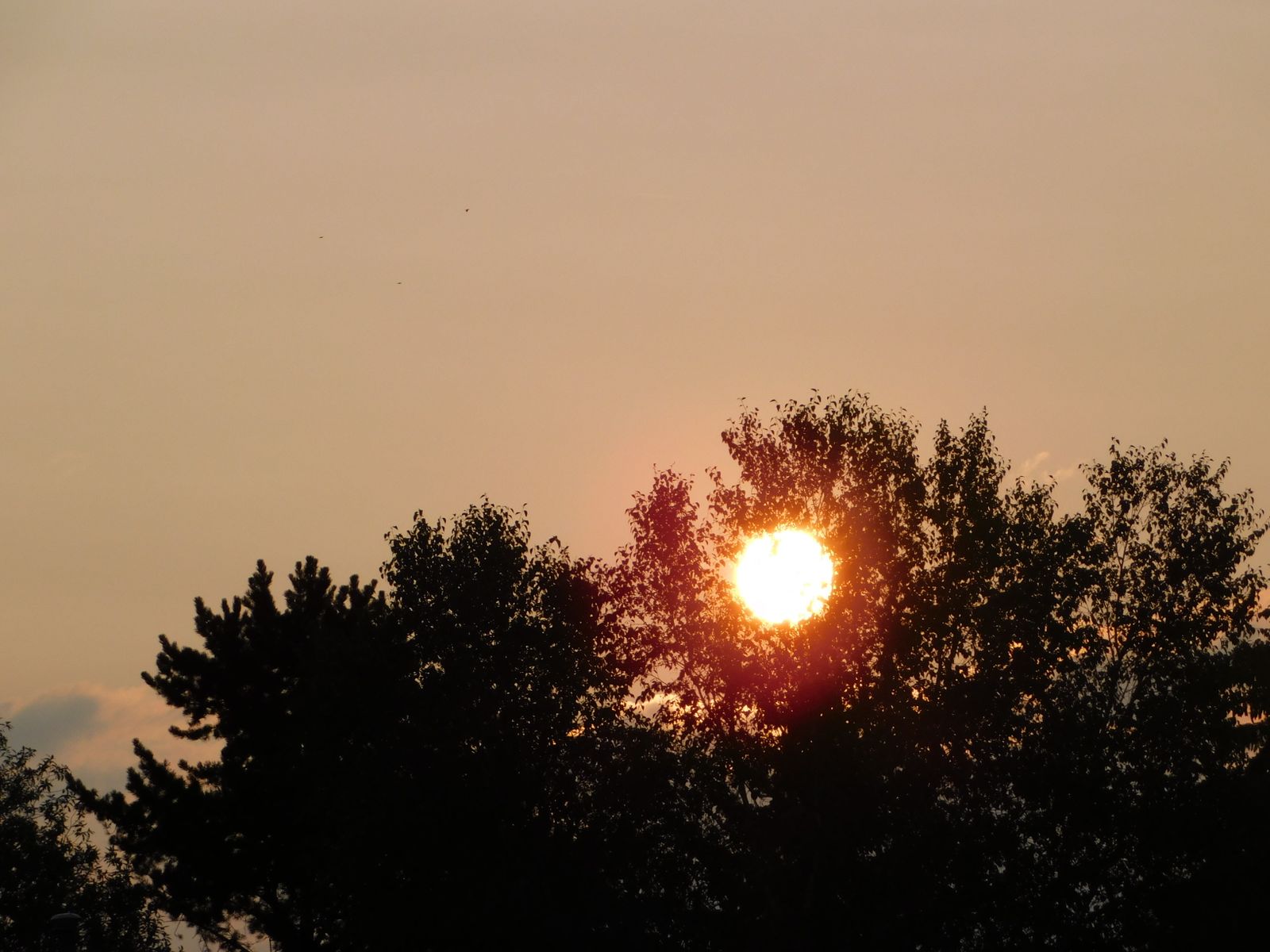 Famille de dos, route, coucher de soleil